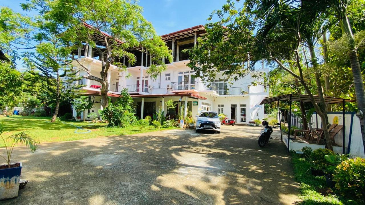 Owin Rose Yala Safari Hotel Tissamaharama Exterior photo