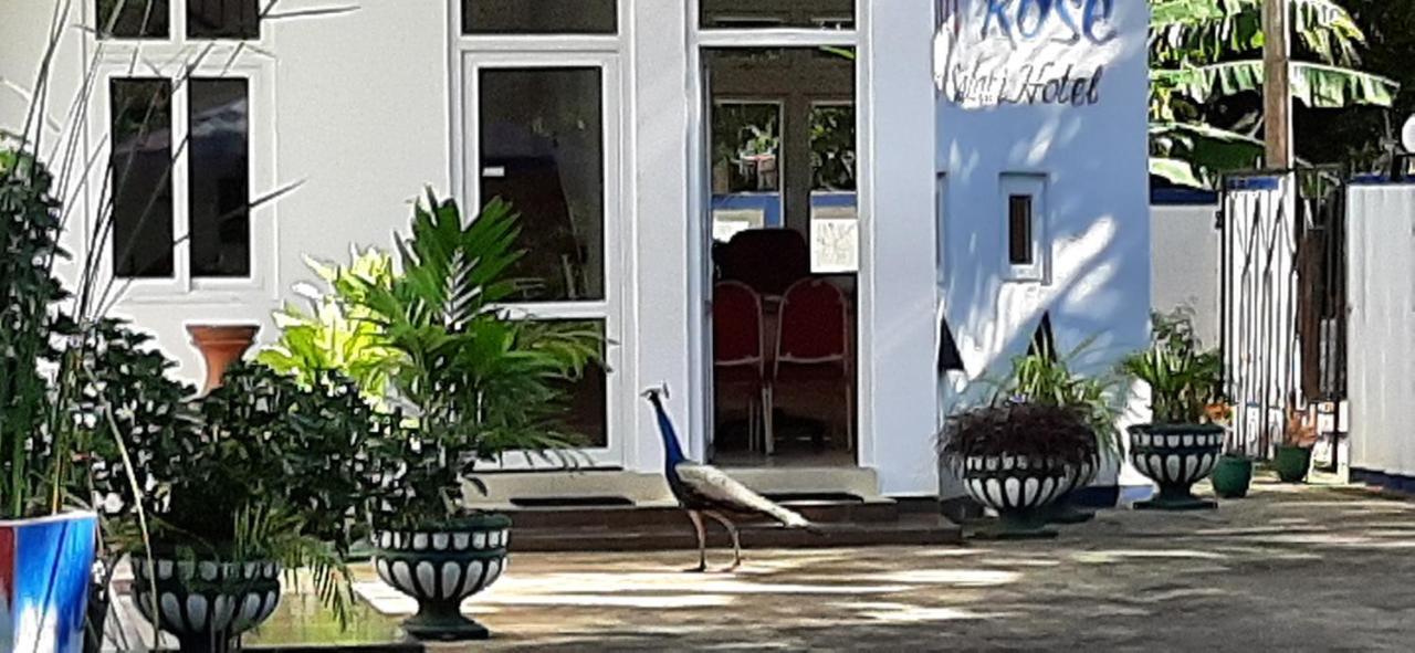 Owin Rose Yala Safari Hotel Tissamaharama Exterior photo